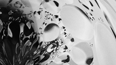 isaiah best star photos