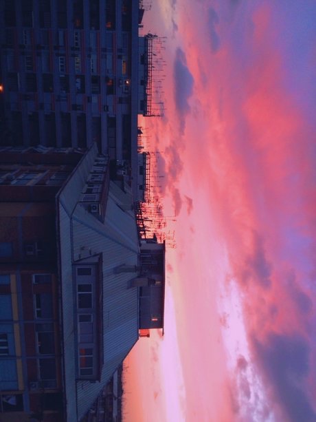 Lim n Miau actress images