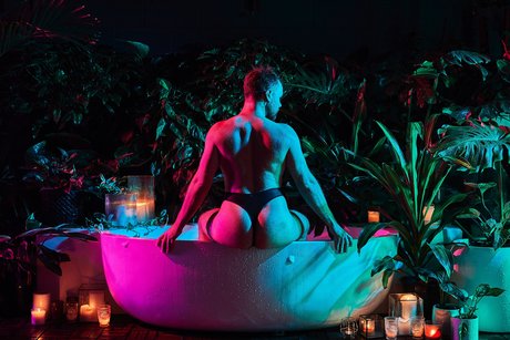 perthbearCUB model pictures