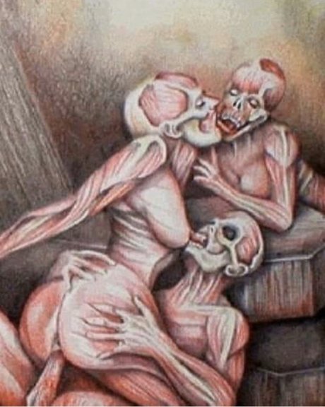 _Jamaican Red Devil_ star high quality archive