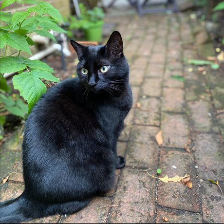 redhead squirt onlyfans hot sex gallery