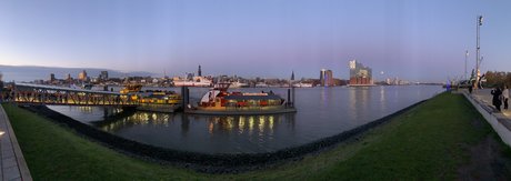 openDavid pornstar photo