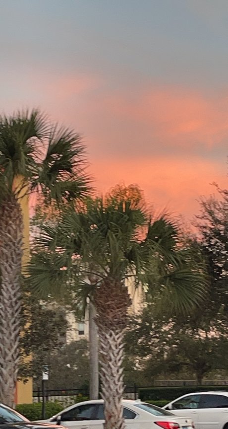 anime onlyfans perfect gallery