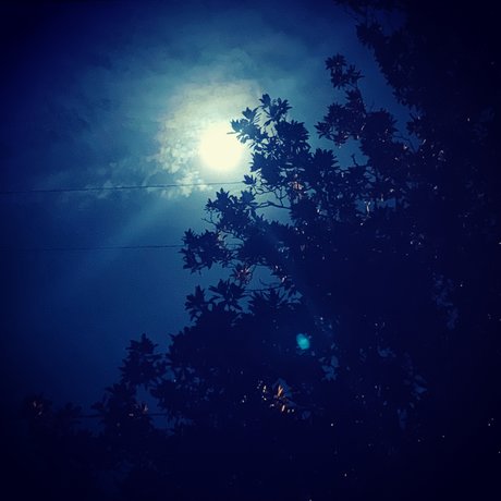 IndigoStar naked model photos