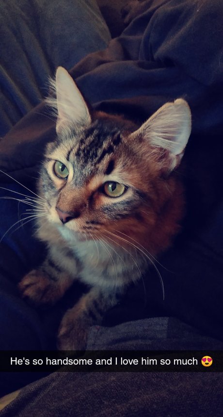 ebony sloppy onlyfans beautiful picture