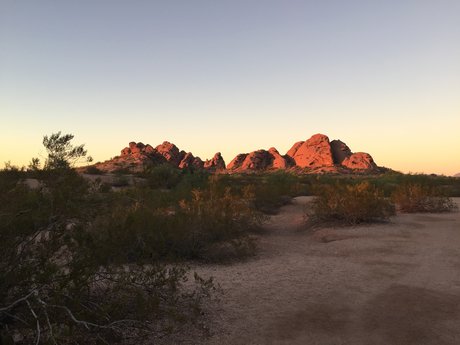 Dana Williams nude pornstar pictures