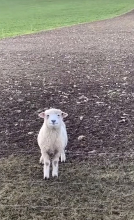 female popular onlyfans nude pics