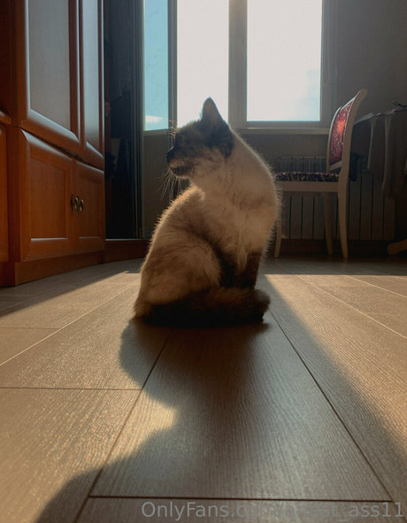 discord free onlyfans hot sex picture