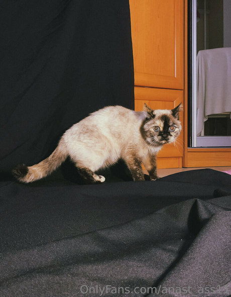 hairy bbw onlyfans xxx picture