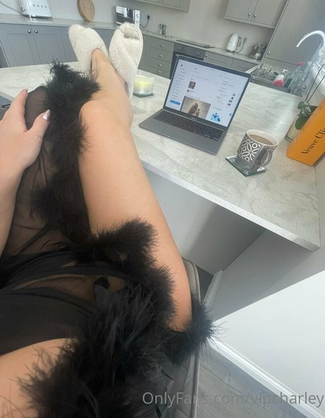 viplaurenxx pornstar beautiful gallery