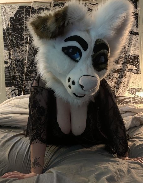 saoirsemutt xxx star images