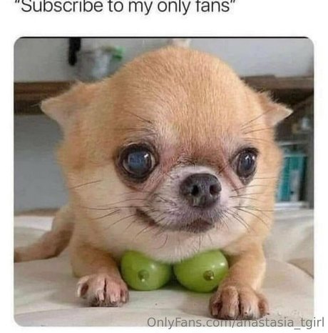 cuckold free onlyfans pretty pic