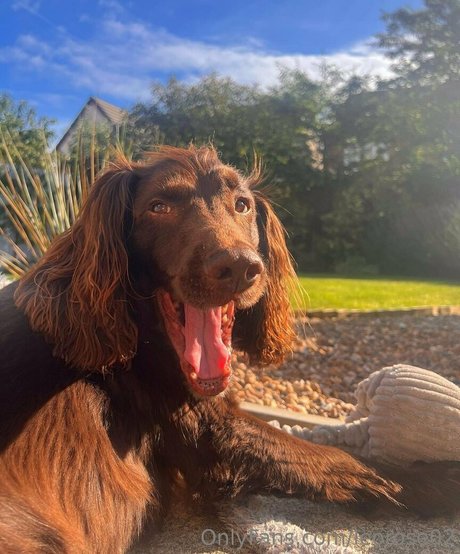 leorose02 top star galleries