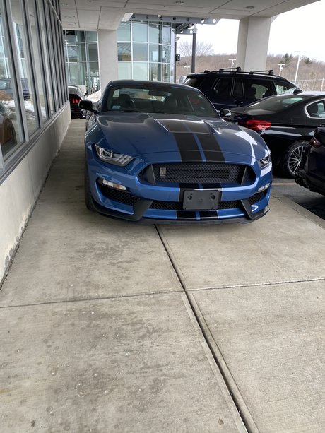 J C nudes actress picture