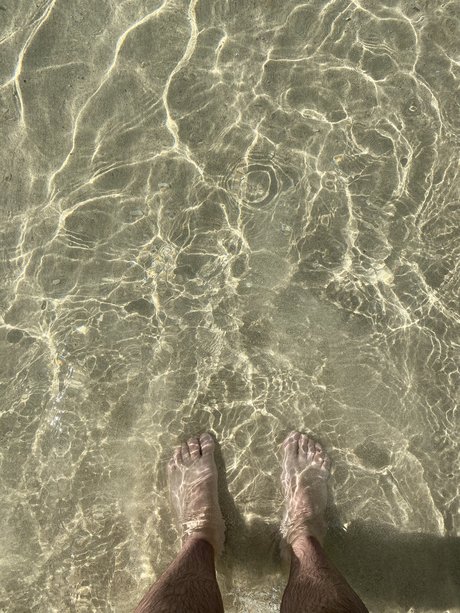 Clark Price pornstar archive