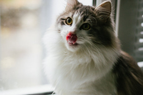 Mary Anne KYC hot actress archive