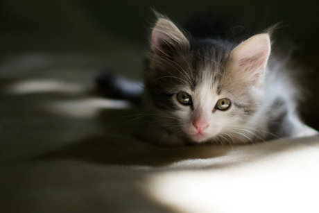 Mary Anne KYC star hot photo