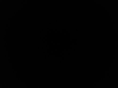 Get Money model porn images