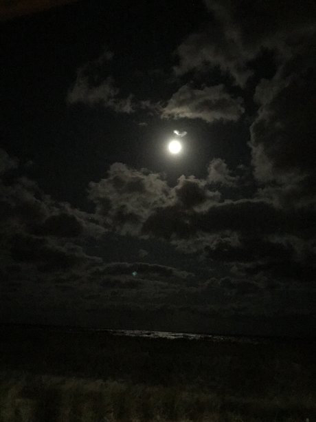 extreme onlyfans free pics