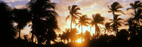 SSBBW Celestica backup best pornstar archive