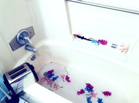 Moxie McKaye pornstar xxx archive