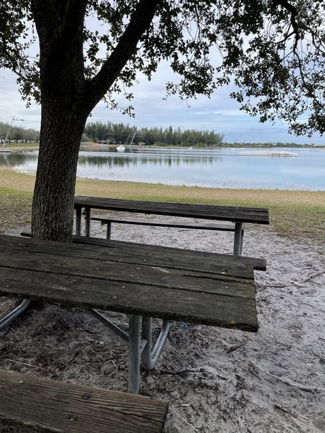 Labala adult actress pics