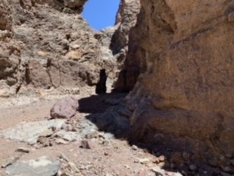 Stuart star beautiful pics