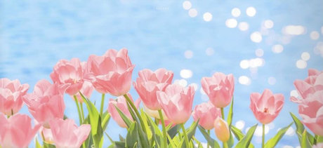 hol_ star hot photos