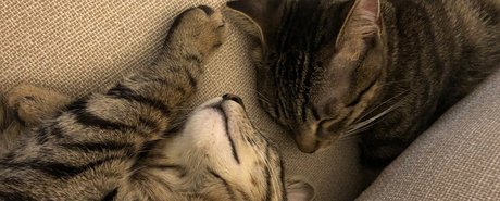 leggings onlyfans porno pics