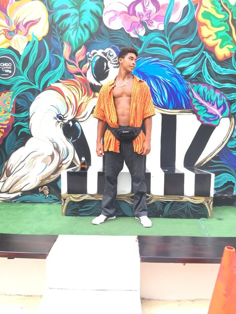 Patrick De brito beautiful star galleries