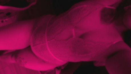 cyberkitten pretty pornstar pictures