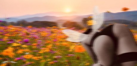 Refia star nudes pics