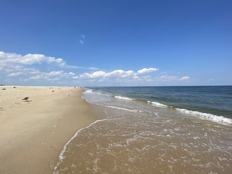 Jurriaan de Vries model pornographic galleries