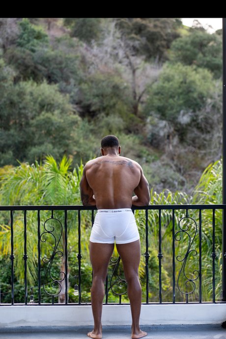 C amp amp THE COCOA FACTORY_ pornographic model pics