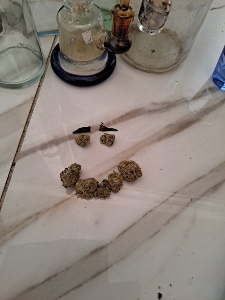 Reeko beautiful pornstar pics