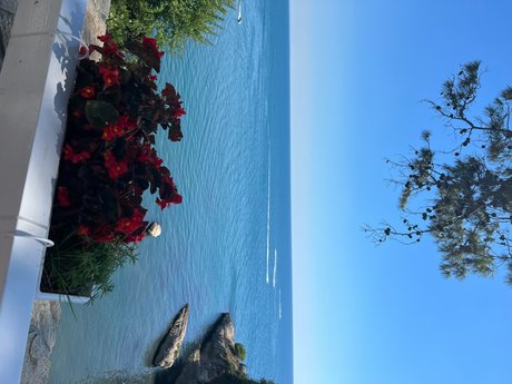 Amber Love star exclusive img