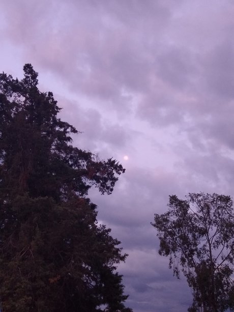 El curioso sex pornstar photo