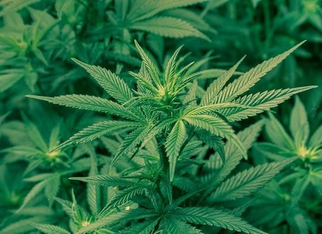 Whole Lotta Babee star nudes photos