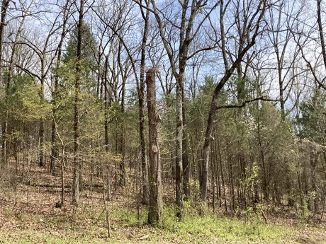 strapon onlyfans free sexy photos