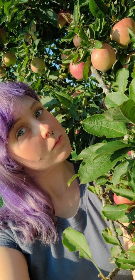 DIY BANDIT porn model galleries