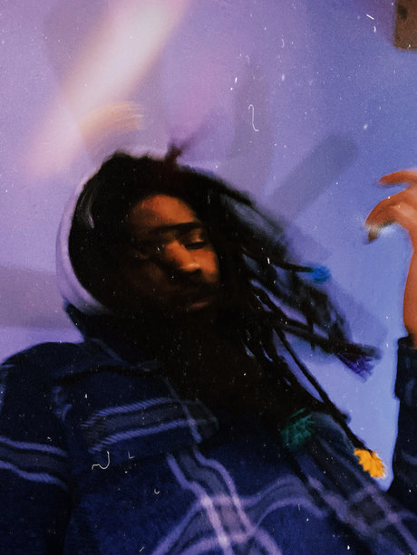 Mosquito Giant pornstar pics