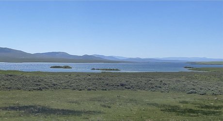 Boss star xxx archive