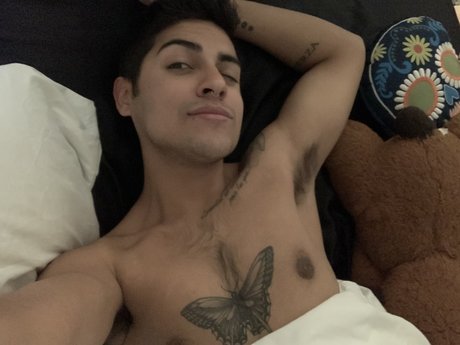 Didiskys star picture