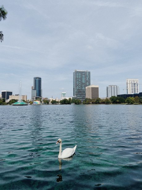 Spritzdad nice model images