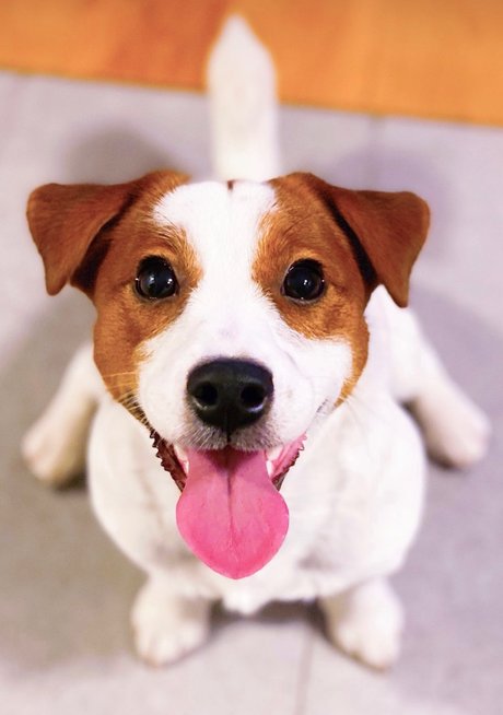 Winyl nude actress photos