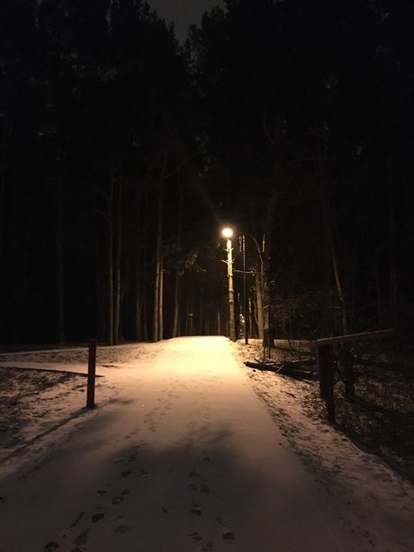 Elyse free star archive