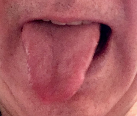 DutchBoy2540 model art galleries