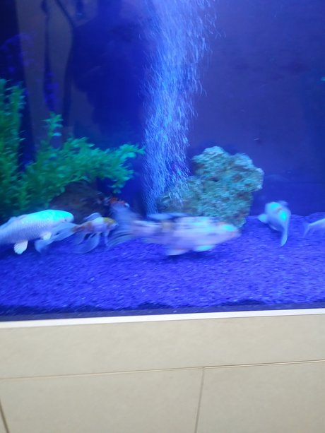 LonGdick star erotic pictures