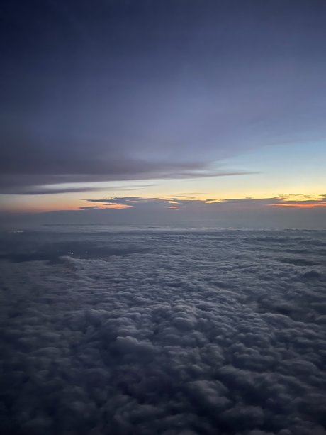 Alicia Starr Anderson star erotic archive