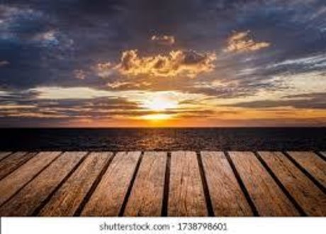 KittenBull xxx pornstar photos